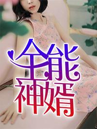 全能女婿免费 全能女婿免费