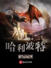 哈利波特中出现过的龙