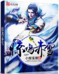 benelli黄龙 benelli黄龙
