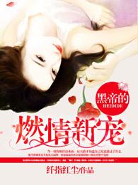 黑帝的燃情新宠TXT 黑帝的燃情新宠TXT