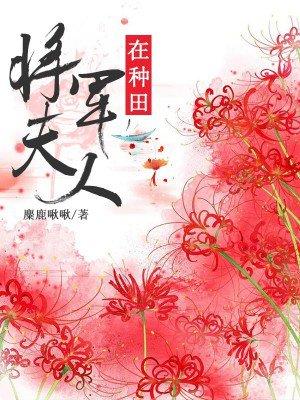 神武维护 神武维护