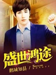 盛世鸿途笔趣阁无弹窗 盛世鸿途笔趣阁无弹窗