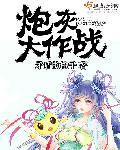 炮灰大作战全文阅读 炮灰大作战全文阅读