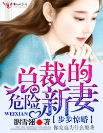 总裁的危险新妻TXT 总裁的危险新妻TXT