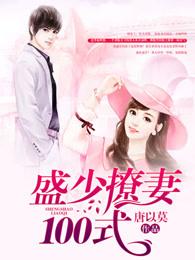 盛少撩妻100式TXT 盛少撩妻100式TXT