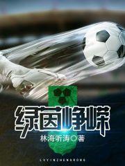 绿茵峥嵘TXT笔趣阁 绿茵峥嵘TXT笔趣阁