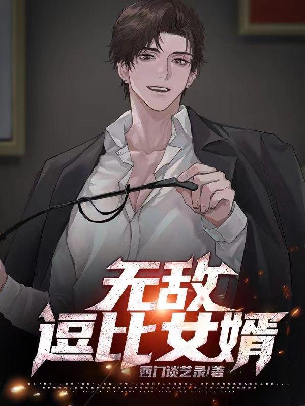 无敌女婿 无敌女婿