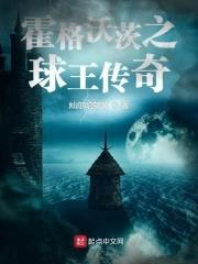 霍格沃兹的球赛 霍格沃兹的球赛