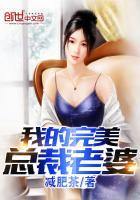 我的完美总裁老婆漫画