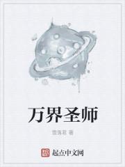 万界圣师陈夜 万界圣师陈夜
