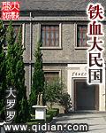 铁血大民国精校 铁血大民国精校