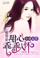 霸道首席追捕逃妻 霸道首席追捕逃妻