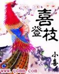 喜登枝门质量怎么样 喜登枝门质量怎么样