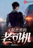 无限世界当司机 无限世界当司机
