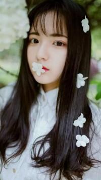 BOSS的亿万甜宠 BOSS的亿万甜宠