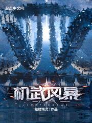 机武风暴无错字完整版 机武风暴无错字完整版