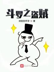 斗罗盗贼系统
