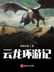 云龙环游记 云龙环游记
