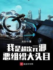 我是超次元邪恶组织大头目 我是超次元邪恶组织大头目