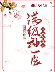 都市全能医圣李拾