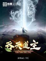 平衡天下v5电动独轮车电池保护板 平衡天下v5电动独轮车电池保护板